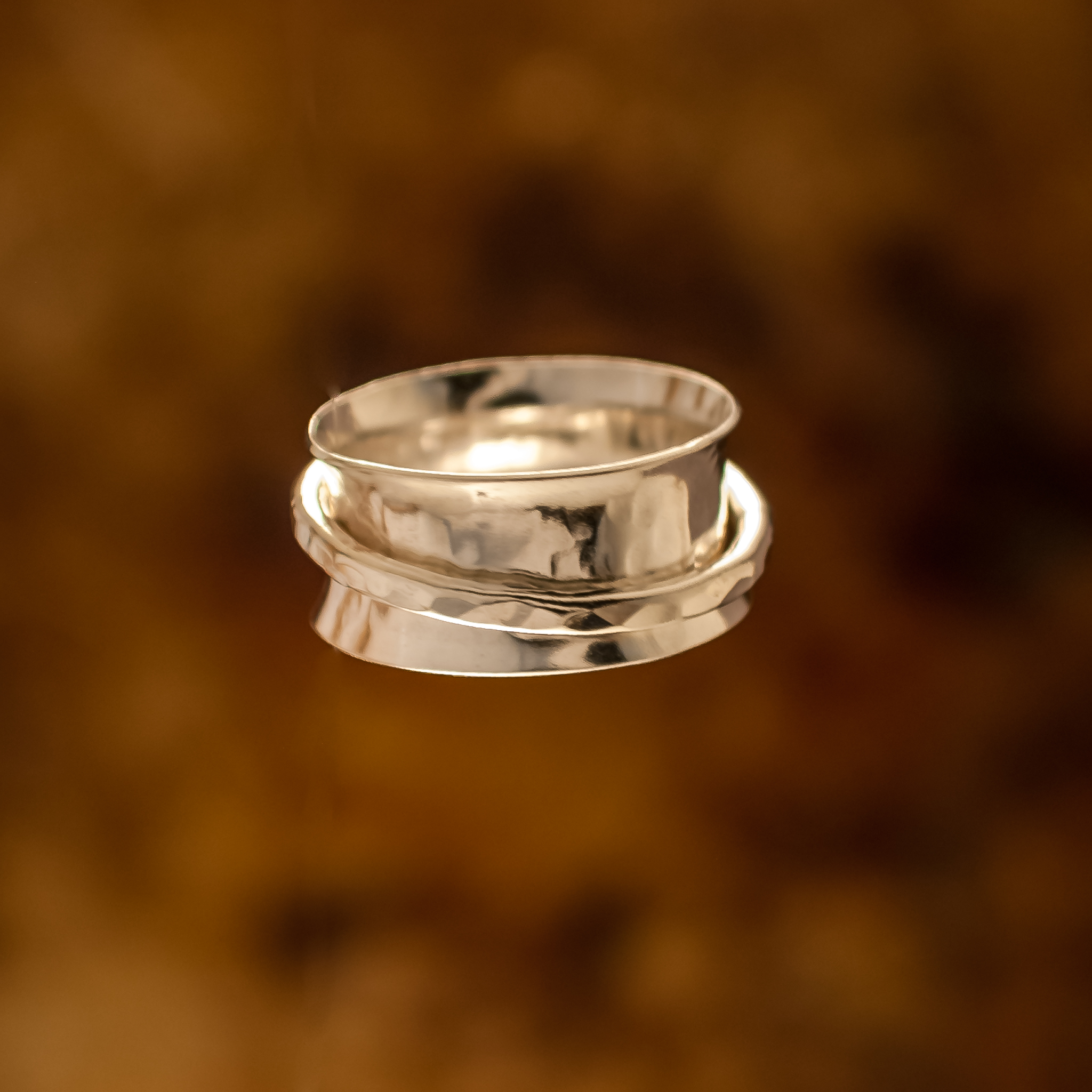 over Bier Boekhouder Silver with Silver Band Spinner Ring - Rooks & Roses